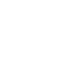 Republic of Gamers