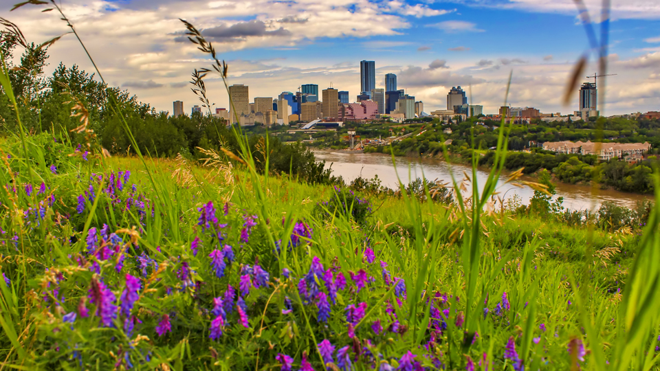 River Valley Walking Tour
