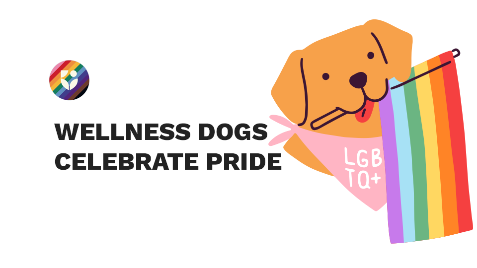 Wellness Dogs Celebrate Pride