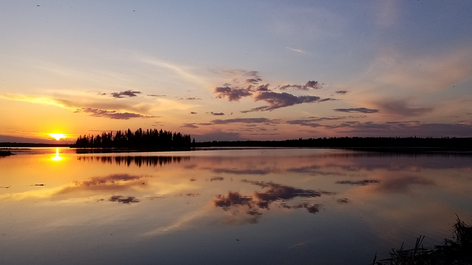 Discover Elk Island: A day to explore and relax