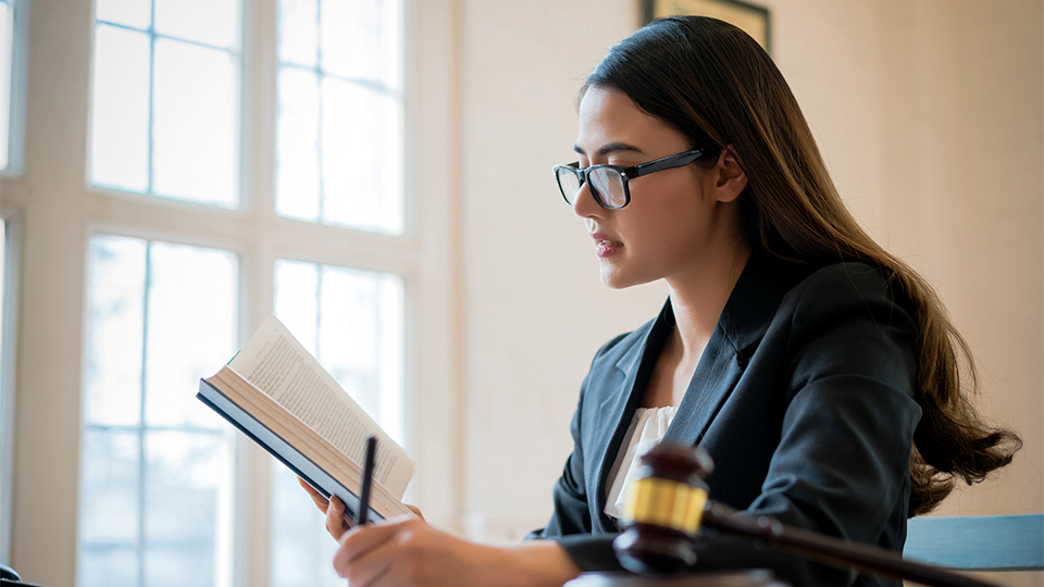 Law Enforcement, Advocacy, and Community: Justice Image