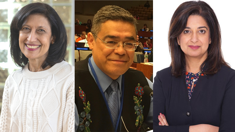 Announcing honorary diploma recipients