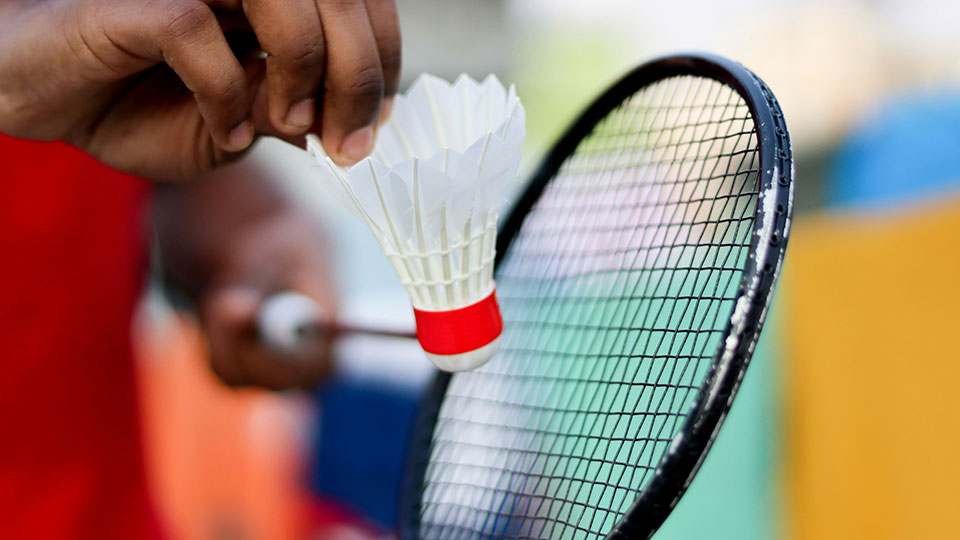 Drop-In Badminton